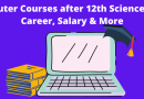 Computer Courses after 12th science
