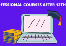 Image for best professional courses after 12th in India